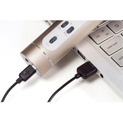 Karaoke mikrofón 6 W / 5 V, 1500 mAh, Bluetooth, zlatý