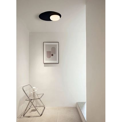 LED Stropné svietidlo PETIT LED/12W/230V čierna