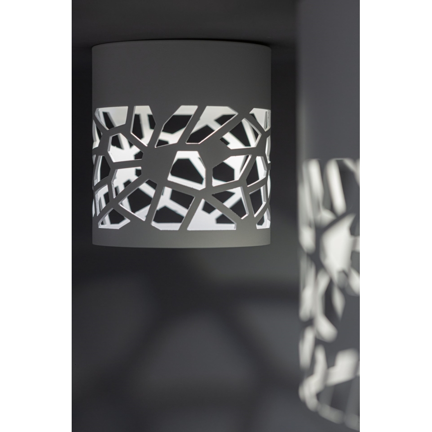 LED Bodové svietidlo WINTERFELL LED/5W/230V biela