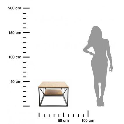 Konferenčný stolík BASICLOFT 40x80 cm čierna/hnedá