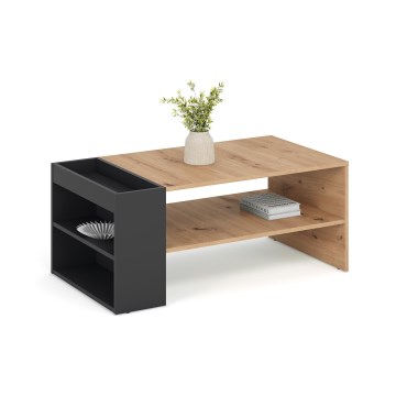 Konferenčný stolík BELA 100x42 cm dub artisan/antracit