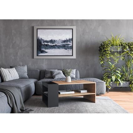 Konferenčný stolík BELA 100x42 cm dub artisan/antracit