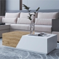 Konferenčný stolík CEELIAS 124x42 cm biela/dub wotan