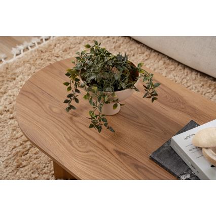 Konferenčný stolík OVAL 60x120 cm hnedá