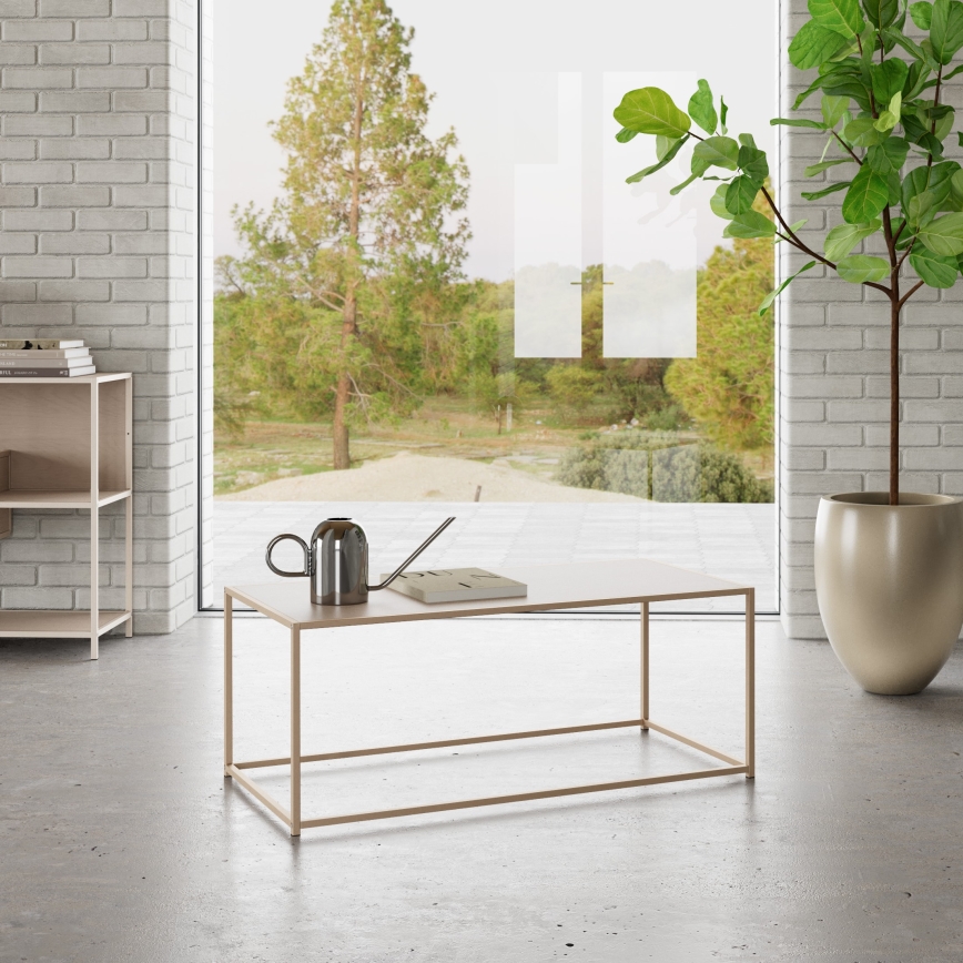 Konferenčný stolík SARON 100x50 cm, sivý