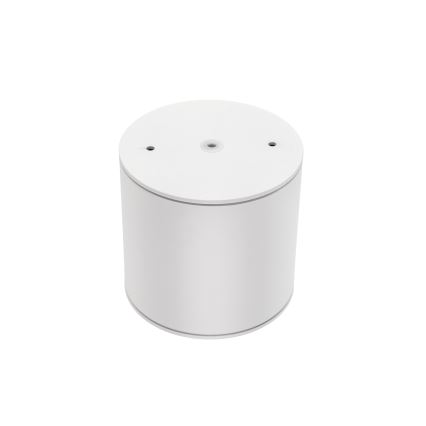 Kúpeľňové bodové svietidlo CHLOE AR111 1xGU10/12W/230V IP65 guľatý biela