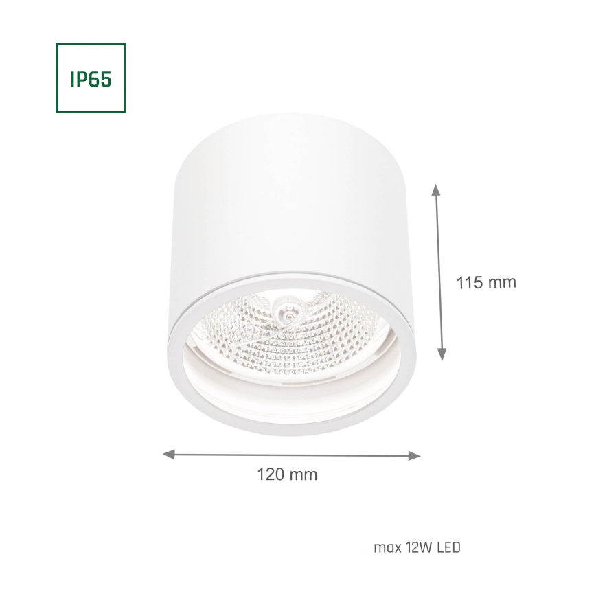 Kúpeľňové bodové svietidlo CHLOE AR111 1xGU10/12W/230V IP65 guľatý biela