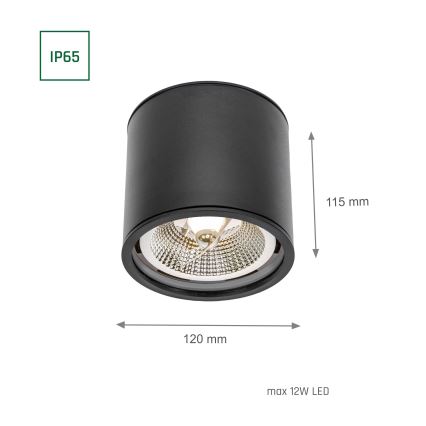 Kúpeľňové bodové svietidlo CHLOE AR111 1xGU10/12W/230V IP65 guľatý čierna