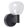 Kúpeľňové nástenné svietidlo POLA 1xG9/5W/230V IP44 čierne/číre