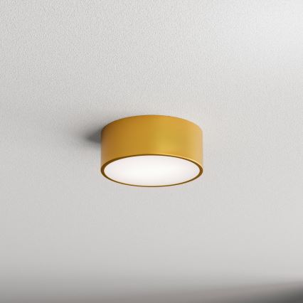 Kúpeľňové stropné svietidlo CLEO 1xE27/24W/230V pr. 20 cm zlatá IP54