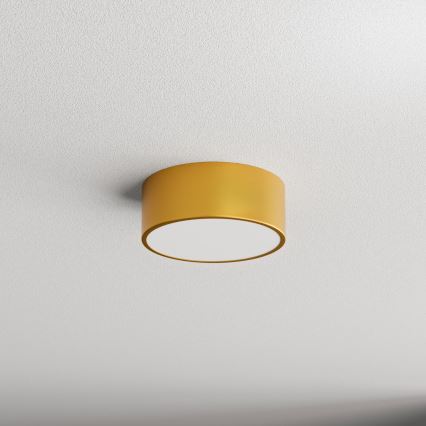 Kúpeľňové stropné svietidlo CLEO 1xE27/24W/230V pr. 20 cm zlatá IP54