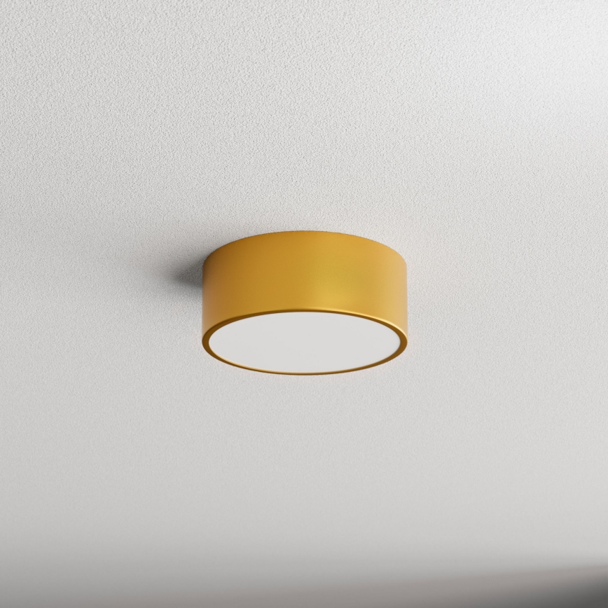 Kúpeľňové stropné svietidlo CLEO 1xE27/24W/230V pr. 20 cm zlatá IP54