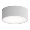 Kúpeľňové stropné svietidlo CLEO so senzorom, 1×E27, 24 W, 230 V, priemer 20 cm, krytie IP54, sivé