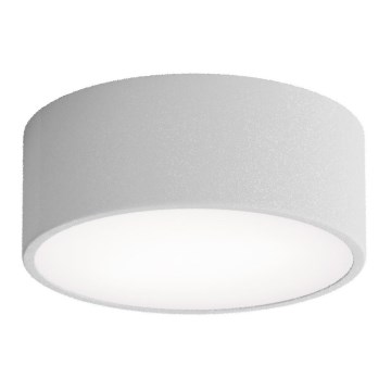 Kúpeľňové stropné svietidlo CLEO so senzorom, 1×E27, 24 W, 230 V, priemer 20 cm, krytie IP54, sivé