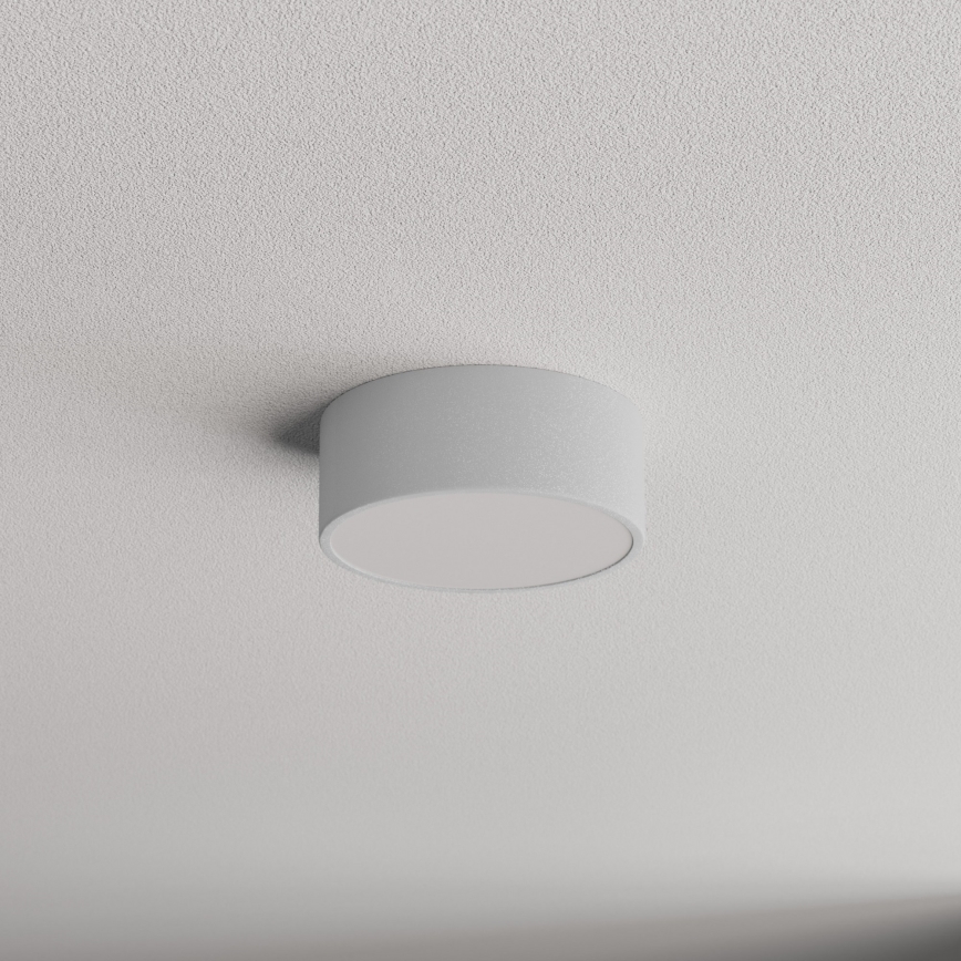 Kúpeľňové stropné svietidlo CLEO so senzorom, 1×E27, 24 W, 230 V, priemer 20 cm, krytie IP54, sivé