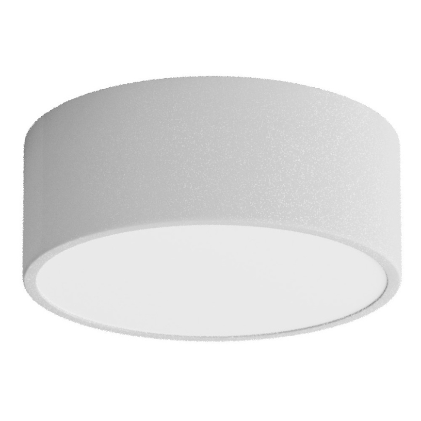 Kúpeľňové stropné svietidlo CLEO so senzorom, 1×E27, 24 W, 230 V, priemer 20 cm, krytie IP54, sivé