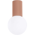 Kúpeľňové stropné svietidlo HALO 1xG9/8W/230V pr. 12 cm IP44 hnedá