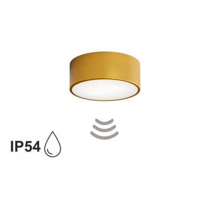 Kúpeľňové stropné svietidlo so senzorom CLEO 1xE27/24W/230V pr. 20 cm IP54 zlaté