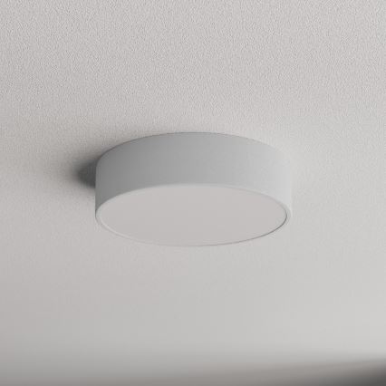 Kúpeľňové stropné svietidlo so senzorom CLEO 2xE27/24W/230V, priemer 30 cm, sivé, IP54