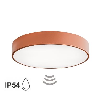 Kúpeľňové stropné svietidlo so senzorom CLEO 4xE27/24W/230V pr. 50 cm IP54 medené