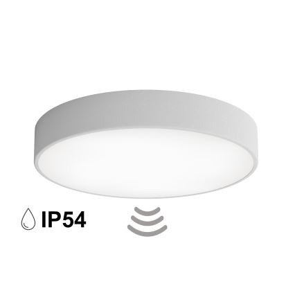 Kúpeľňové stropné svietidlo so snímačom CLEO 4xE27/24W/230V pr. 50 cm IP54 sivé