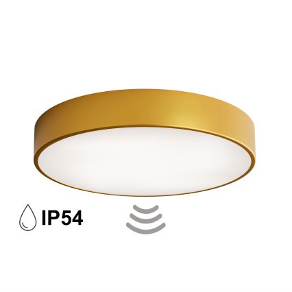 Kúpeľňové stropné svietidlo so snímačom CLEO 4xE27/24W/230V priemer 50 cm IP54 zlaté