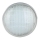 LED Bazénová žiarovka LED/25W/12V IP68 6500K