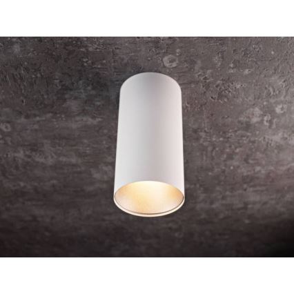 LED Bodové svietidlo HERMA LED/20W/230V