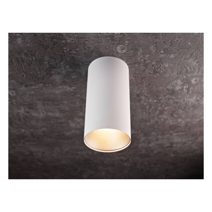 LED Bodové svietidlo HERMA LED/20W/230V