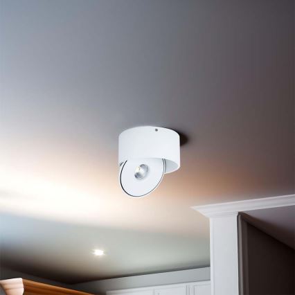 LED Flexibilné bodové svietidlo LED/20W/230V 3000/4000/6400K CRI 90 biela