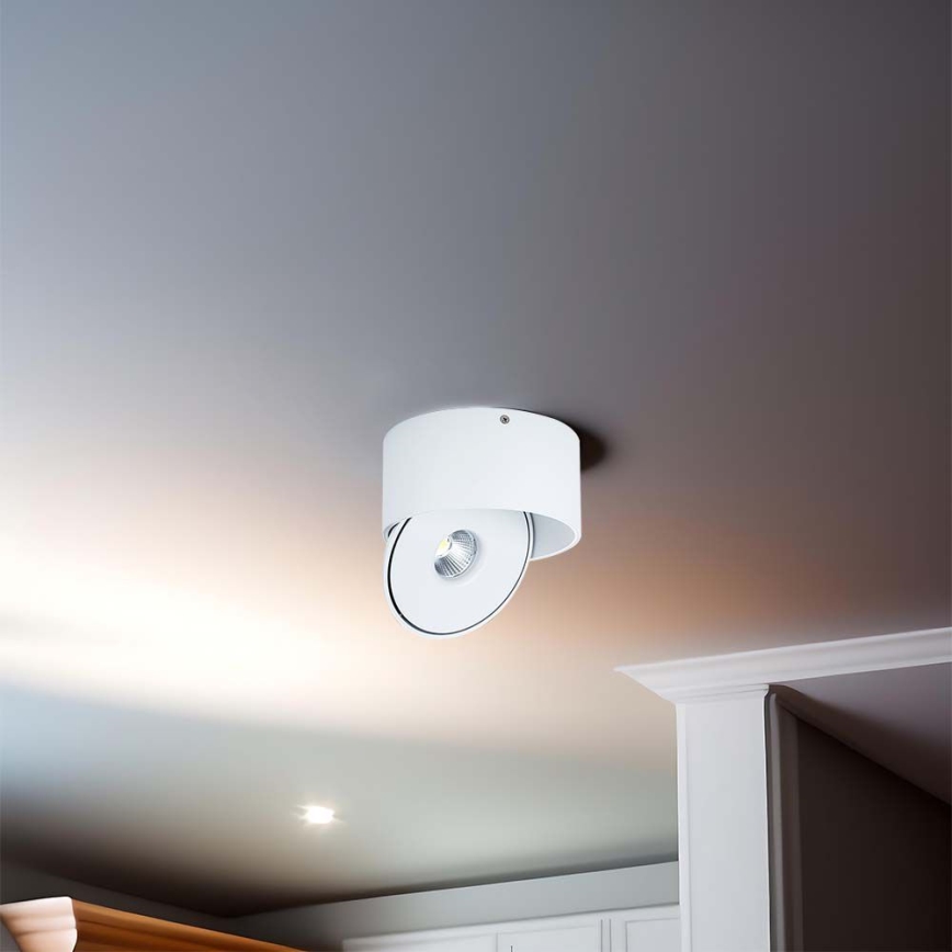 LED Flexibilné bodové svietidlo LED/20W/230V 3000/4000/6400K CRI 90 biela
