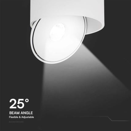 LED Flexibilné bodové svietidlo LED/20W/230V 3000/4000/6400K CRI 90 biela
