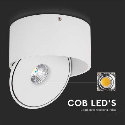 LED Flexibilné bodové svietidlo LED/20W/230V 3000/4000/6400K CRI 90 biela