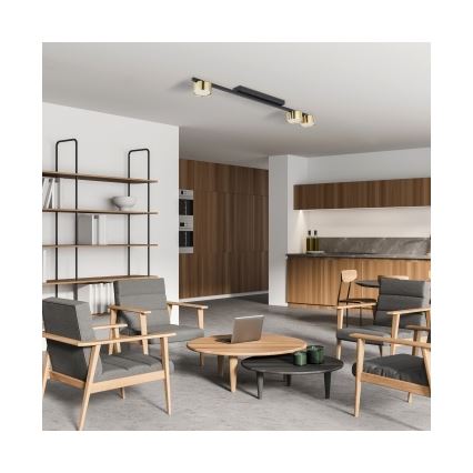 LED bodové svietidlo LOGAN 3xGU10/10W/230V čierna/zlatá