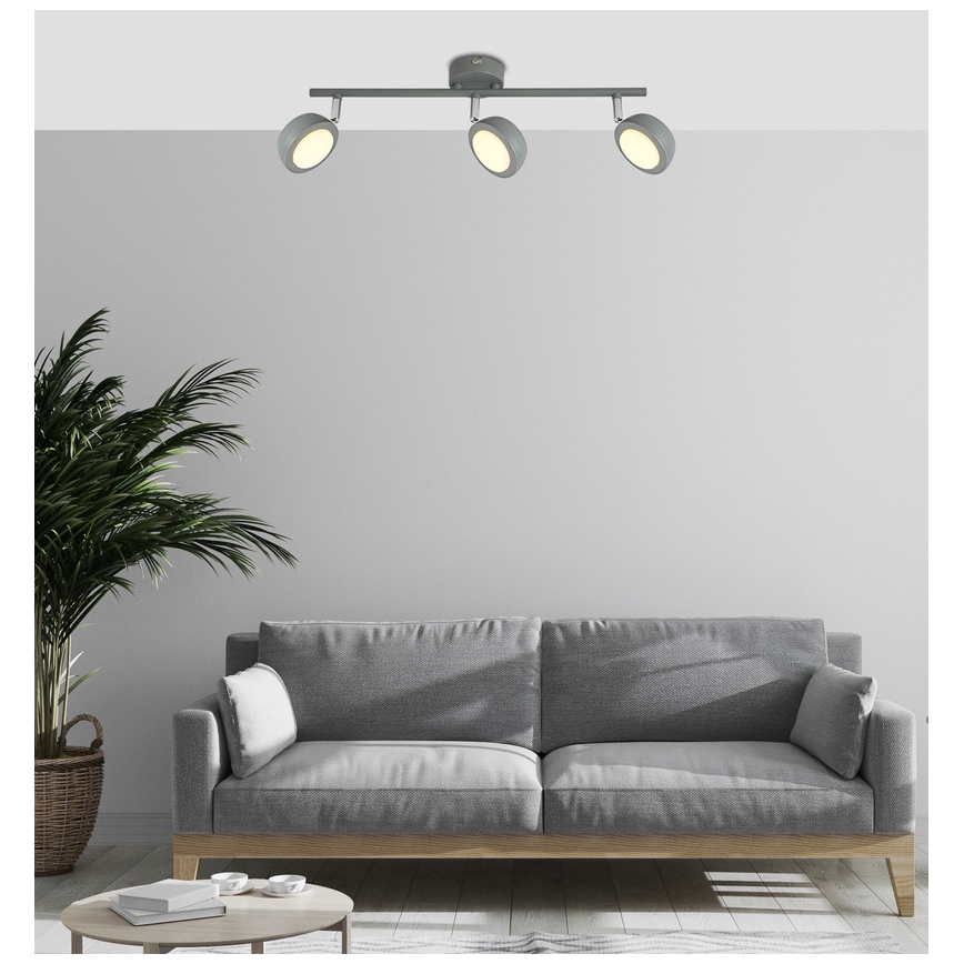 LED Bodové svietidlo MILD 3xLED/6W/230V šedá