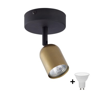 LED bodové svietidlo TOP 1xGU10/10W/230V zlatá/čierna