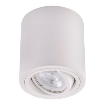 LED Bodové svietidlo TUBA 1xGU10/5W/230V 4000K biela