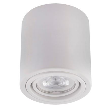 LED Bodové svietidlo TUBA 1xGU10/5W/230V 4000K biela