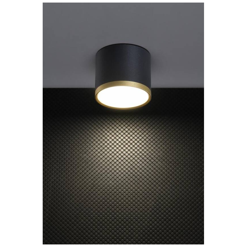 LED bodové svietidlo TUBA LED/9W/230V čierna/zlatá