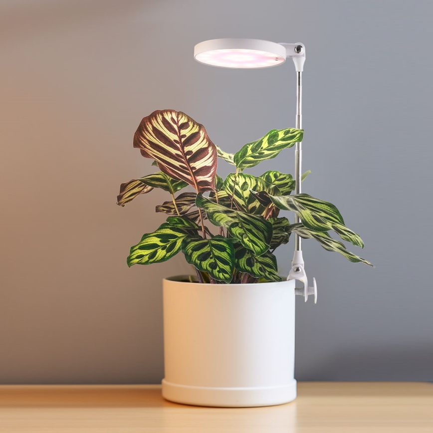 LED Interiérová lampa na pestovanie rastlín LED/10W/5V 3200K