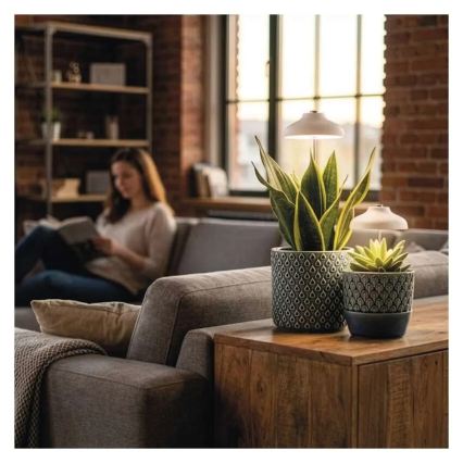 LED interiérové svietidlo pre pestovanie rastlín GROW LED/5W/5V