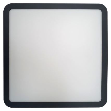 LED Kúpeľňové stropné svietidlo ELLÉ LED/24W/230V 3000/4000/6500K 26x26 cm IP54 antracit