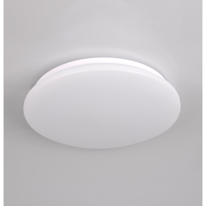 LED Kúpeľňové stropné svietidlo ADAR LED/17W/230V IP44 4000K