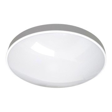 LED Kúpeľňové stropné svietidlo CIRCLE LED/24W/230V 4000K pr. 37 cm IP44 biela