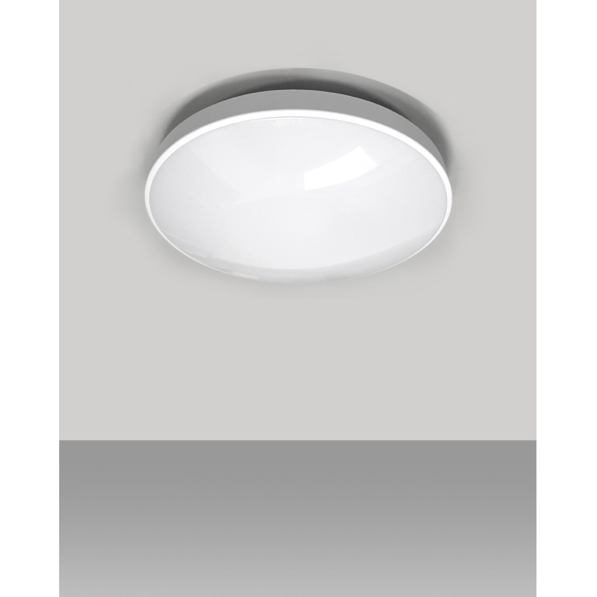LED Kúpeľňové stropné svietidlo CIRCLE LED/24W/230V 4000K pr. 37 cm IP44 biela