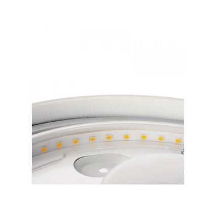 LED Kúpeľňové stropné svietidlo LED/18W/230V IP44