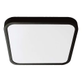 LED Kúpeľňové stropné svietidlo LED/24W/230V 3000K IP44 29,5x29,5 cm čierna