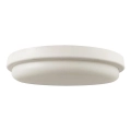 LED Kúpeľňové stropné svietidlo LED/24W/230V 4000K IP54 pr. 24 cm