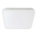 LED Kúpeľňové stropné svietidlo LED/24W/230V 6500K IP44 29,5x29,5 cm biela