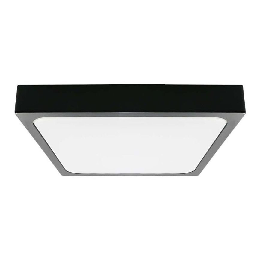 LED Kúpeľňové stropné svietidlo LED/24W/230V 6500K IP44 29,5x29,5 cm čierna